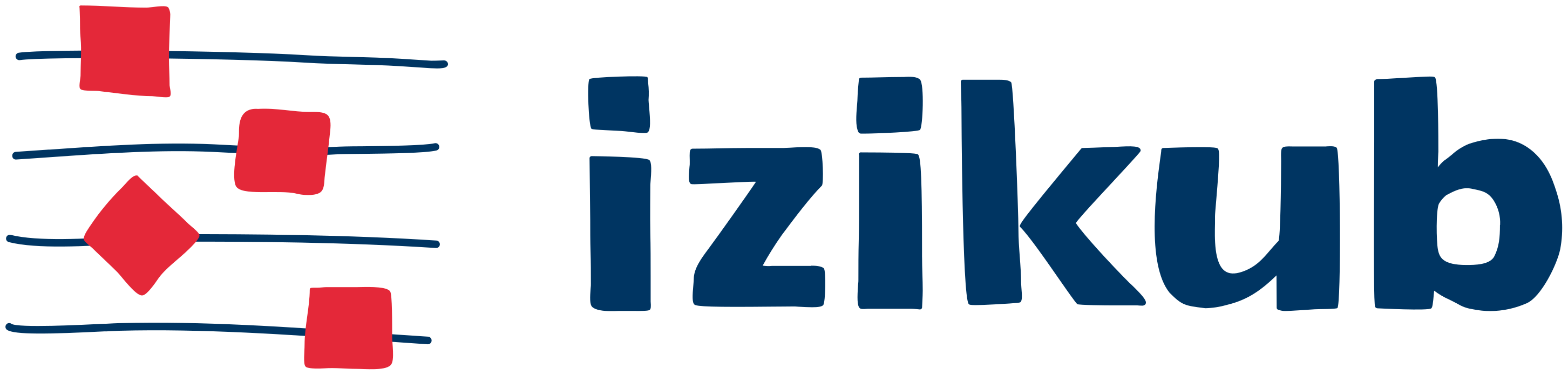 Logo izikub